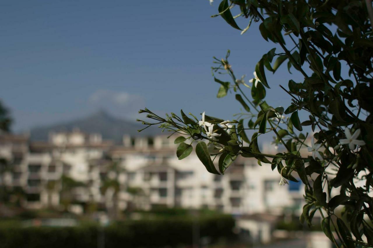 Cozy Apartment Banus Marbella Exteriér fotografie